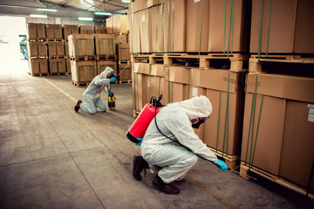 Best Pest Inspection Near Me  in Miles, TX