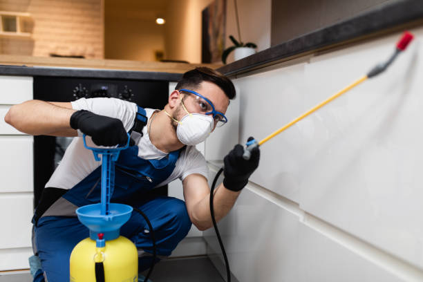Best Local Pest Control Services  in Miles, TX