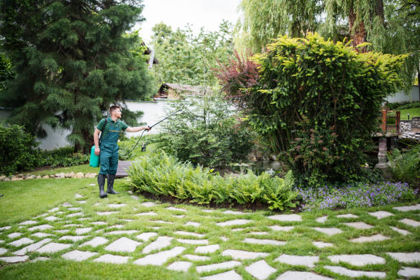 Best Best Pest Control Companies  in Miles, TX