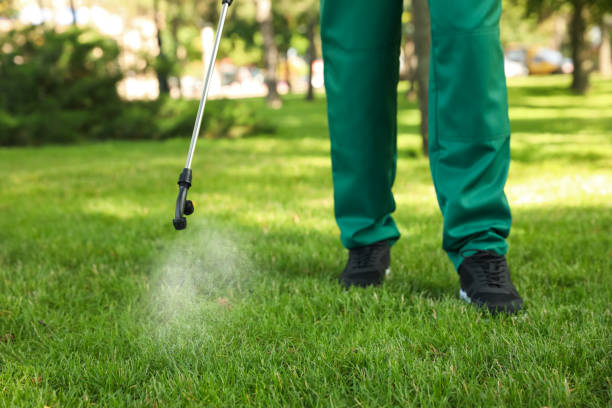 Best Wasp Removal Services  in Miles, TX
