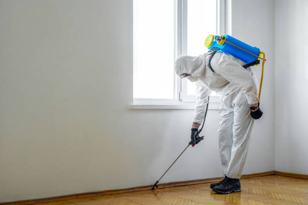 Best Flea Control Services  in Miles, TX