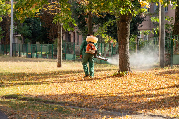 Best Best Pest Control Companies  in Miles, TX