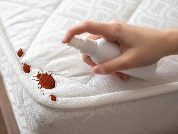 Best Affordable Pest Control Services  in Miles, TX