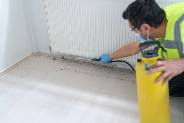 Best Rat Extermination Near Me  in Miles, TX